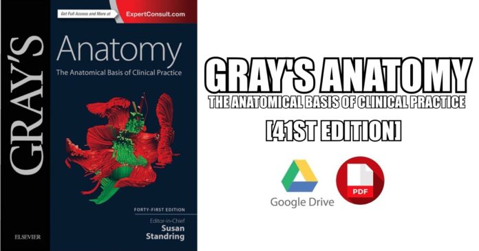 20190524154105-Grays-Anatomy.jpg